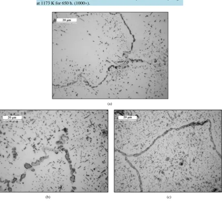 Figure 10. Vickers microhardness indentation in a depleted zone. Sample aged at 1173 K for 650 h