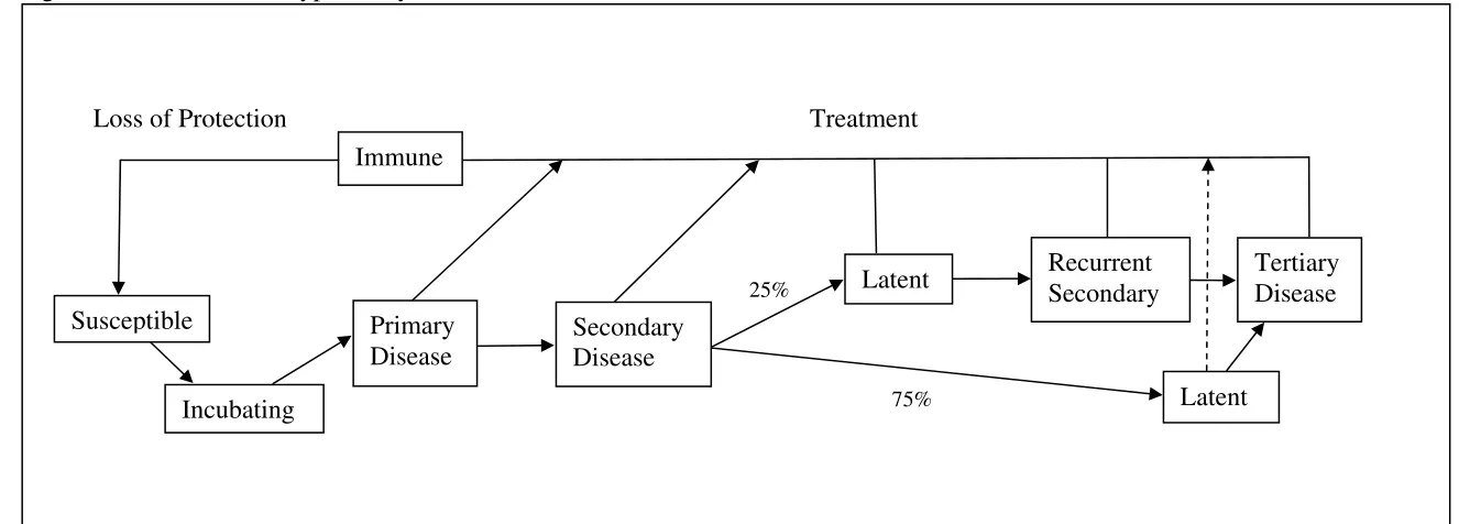 Figure 2. Flow Chart for Syphilis Dynamics 