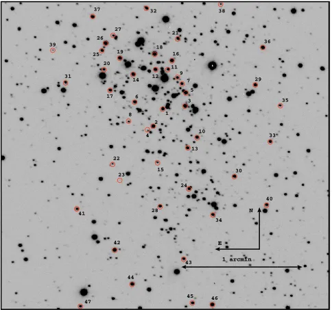 Fig. 6. Finding chart for the X-ray sources with optical counterparts in the crowded inner region of Wd 1