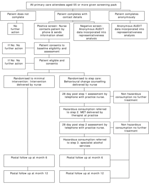 Figure 1Trial Flow Chart
