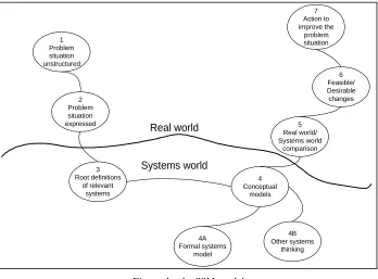 Figure 1 - the SSM model