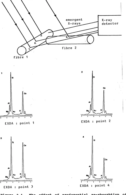 Figure 3.1 characteristic X-rays