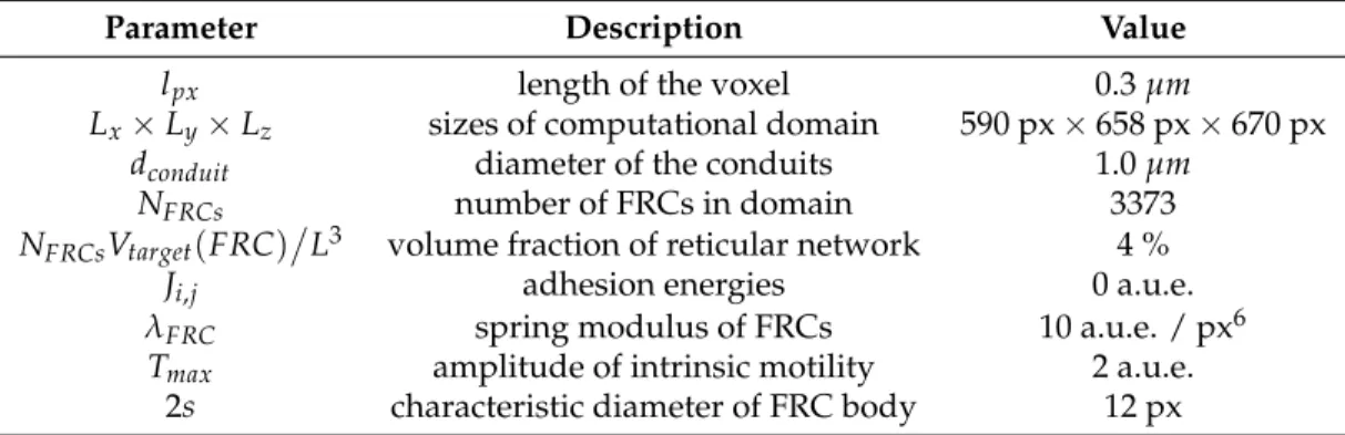 Figure 1. (a) The initialized reticular network as the system of conduits of given topology