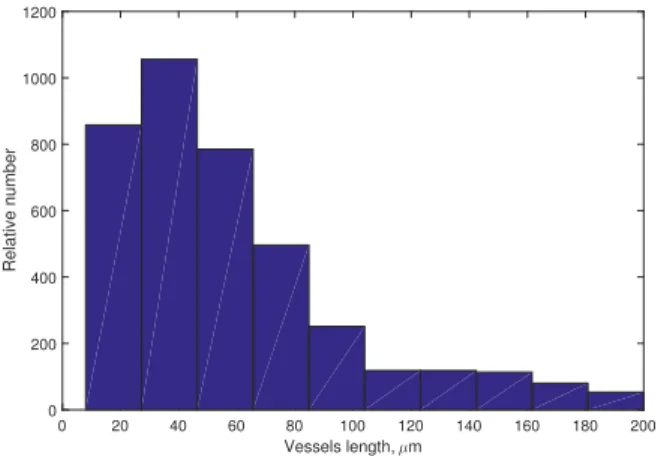 Figure 2. Blood vessels length distribution summarized from [ 21 ]