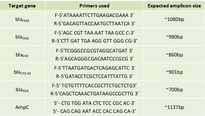 Table 1: PCR Amplification and Sequencing Primers Used 