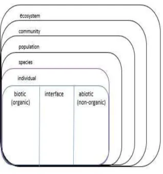 Figure 1: Ecological Environment 