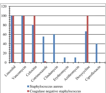 Figure 4: Antibiotic sensitivity pattern of gram  positive organisms. Staphylococcusaureus(51.92%)Pseudomonasaeruginosa(38.46%)Klebsiellapneumoniae(3.84%)Aspergillusniger(53.84%)Aspergillusflavus(23.076%)Aspergillusfumigatus(7.69%)Candidaalbicans(15.38%)01