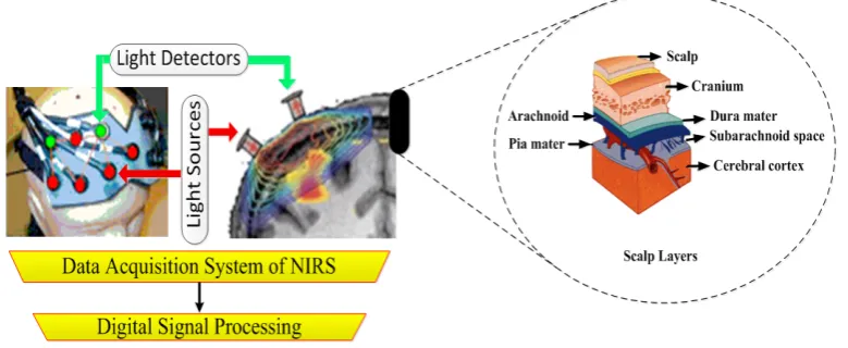 Figure 1. Schemas of CW-NIRS data acquisition system and the position of light sources and detectors