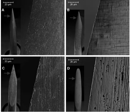 Figure 3 High-magnification images of 23-gauge blades near the tip by scanning electron microscopy.Notes: (A) no striations were seen on the ridged MVr blade