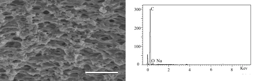 Figure 3: SEM micrograph (bar = 5 μm) and EDS spectrum of a fresh PP membrane, showing mostly carbon and some oxygen