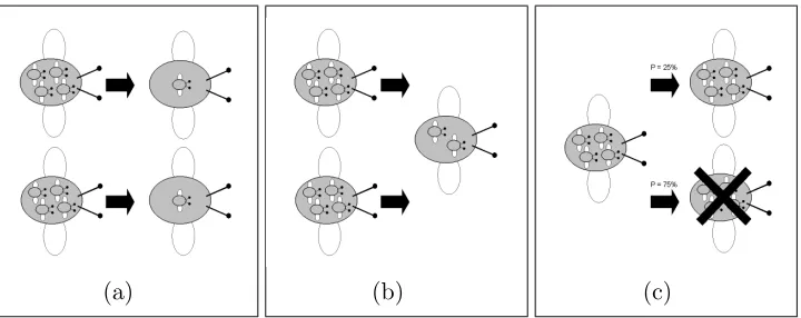 Fig. 3. The three main approaches to estimating the mortality of super-individuals: