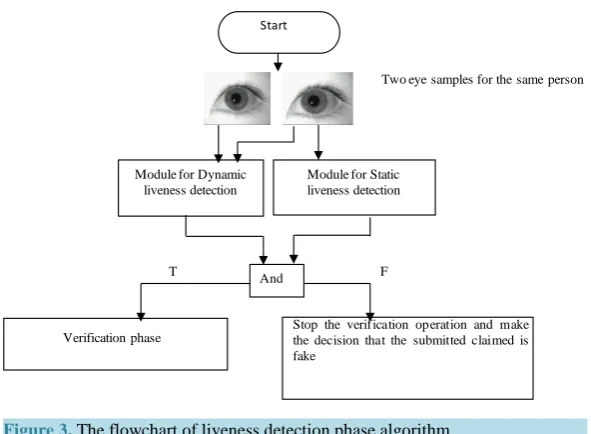 Figure 3. The flowchart of liveness detection phase algorithm.                     