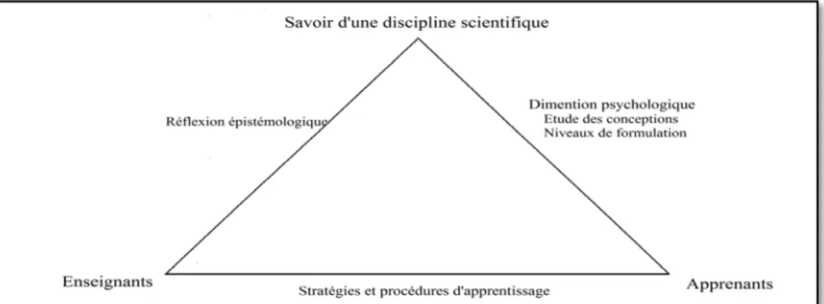 Figure 1 : Triangle didactique 