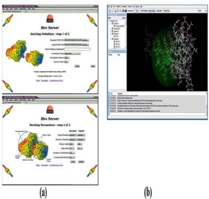 Figure 4: Snapshot obtained from (a) Hex Server and (b) Molegro. 
