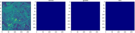 Figure 7. Visualizing features used in predicting class: high disease density. Case where learnedfeatures were visually imperceptible.