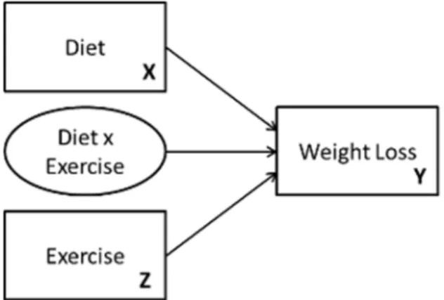 Figure  3:  Simple  interaction  example  by  Lyytinen  and Gaskin (StatWiki) (Gaskin, 2012) 