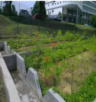 Figure 4. Bioretention System in UNITEN,  Putrajaya Campus 