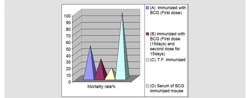 Figure 1 The  results of immunopotencyof transfer factor (T.F) comparing with BCG immunization  against challenge dose of M