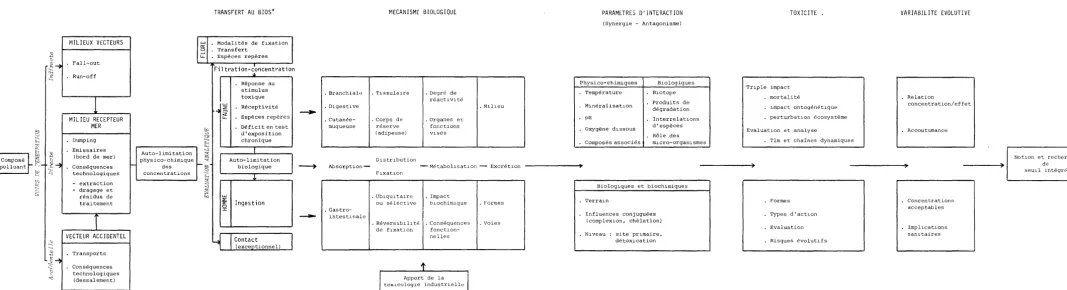 FIGURE 6.1 MODELE SCHEMATIQUE DE MIGRATION D'UN POLLUANT TRANSFERT AU BIOS* 