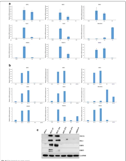 Fig. 6 (See legend on next page.)