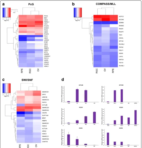 Fig. 8 Differentially expressed components of epigenetic complexes. a Hierarchical clustering of genes encoding components of PcG complexes.b Hierarchical clustering of genes encoding components of COMPASS/MLL complexes