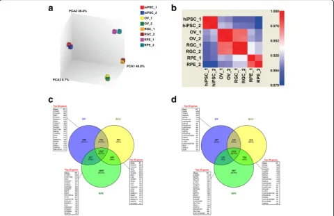 Fig. 3 Microarray analysis of transcriptomes of OV, RGC and RPE samples derived from hiPSCs.demonstrating number of common and unique differentially underexpressed genes in OV, RGC and RPE samples compared to original hiPSCsaccording to criteria of linear 