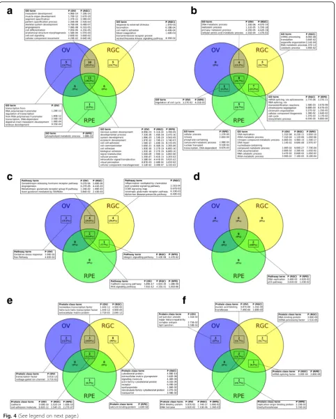 Fig. 4 (See legend on next page.)