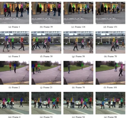 Fig. 2: Tracking results of the proposed algorithm. Top to left: datasets Stadmitt (a-d), TUD-campus (e-h), Pets2009 (i-l), andTUD-crossing (m-p)