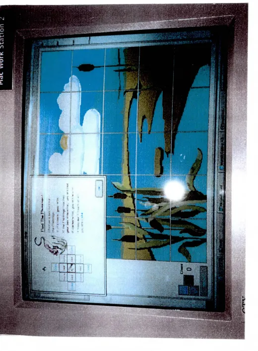 Figure 1.1. A picture of the 'Find the Flamingo game' with the rules 