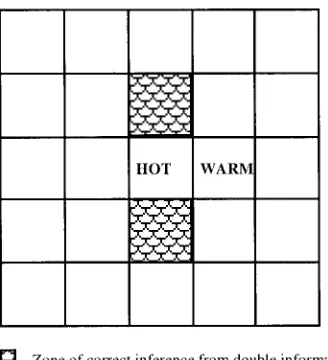Figure 3.8. Correct inferences from double clues WARM-COLD 