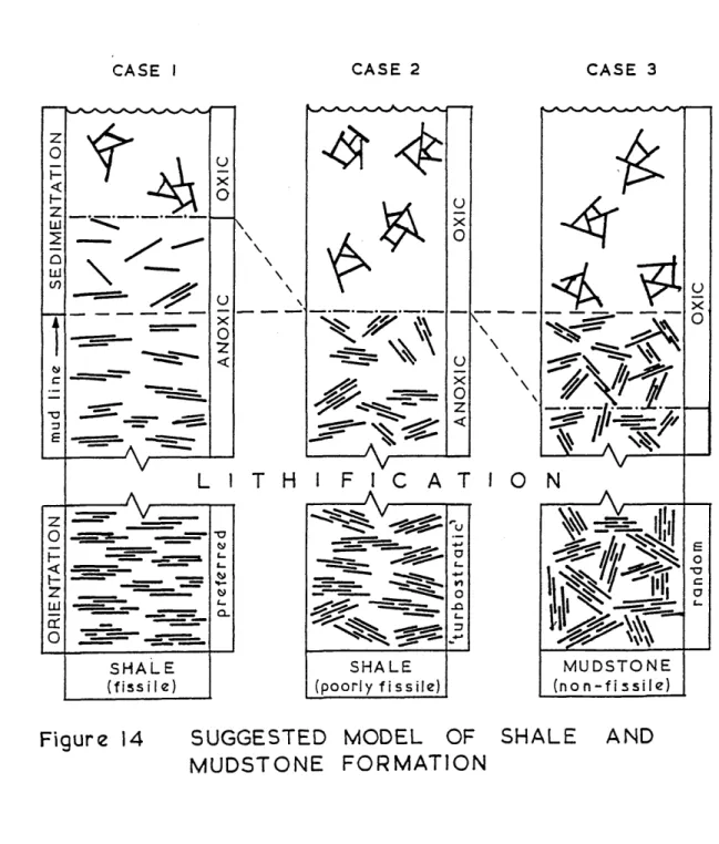 Figure  14  SUGGESTED  MODEL  OF  SHALE  AND  MUDSTONE  FORMATION randomOXIC