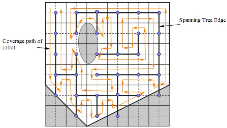 Figure 11. Input edge and output edge in SmSTC algorithm