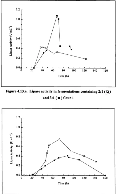 Figure 4.13.a. Lipase activity in fermentations containing 2:1 (9)