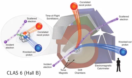 Figure 1. The CLAS spectrometer. The reaction of hard knockout of two nucleons from the targetnucleus by an electron probe is shown