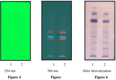 Figure 4                                 Figure                                     Figure 6 