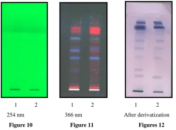 Figure 10                          Figure 11                               Figures 12 