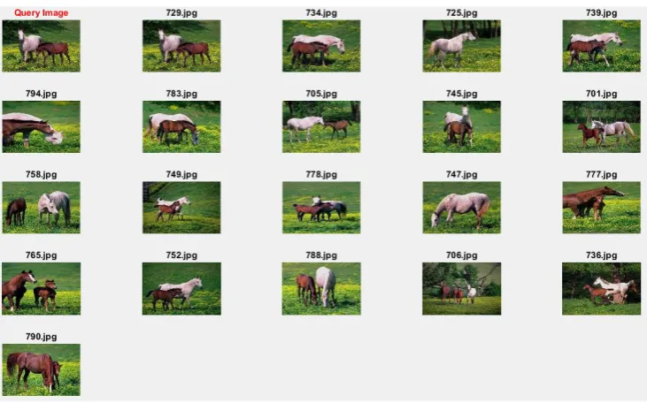 Fig 6. Query image result for the category "Horses".  