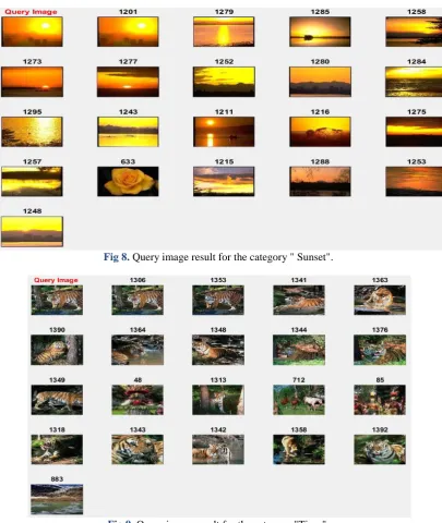 Fig 9. Query image result for the category "Tiger".  
