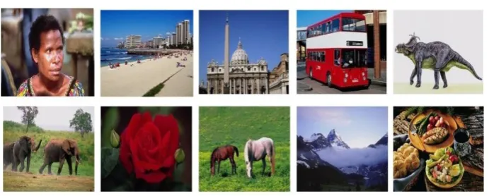 Fig 2. Images taken from each class of Corel-1K dataset [24].