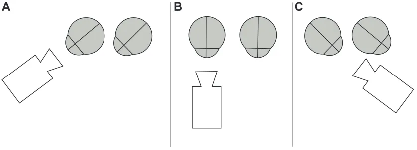 Figure 1 schematic drawing of camera positions while video capturing side glance to the right (A), primary position (B), and side glance to the left (C) for analysis of the right eye.