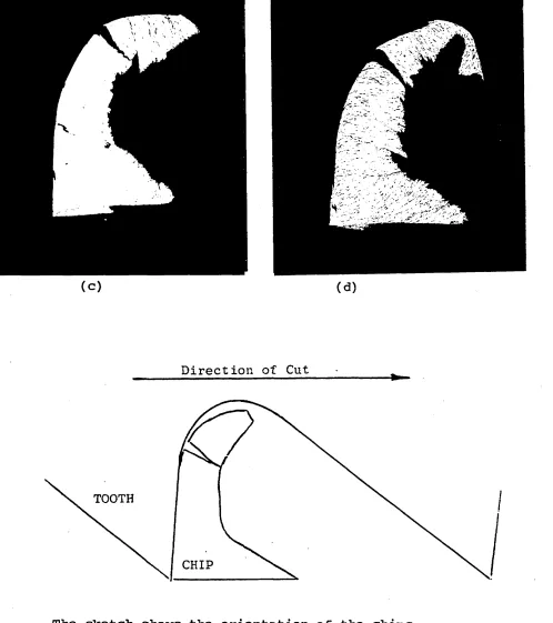 Fig. 2.9 (c-d) Hacksaw chips cut by a 6 TPI blade.50 mm wide mild steel workpiece Magnification x 30.