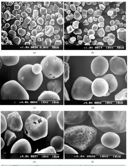 Figure 1. SEM micrographs of Florencia (a, c, e) and waxy maize starches (b, d, f).                        