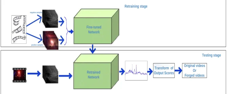 Figure 5. The pipeline of the proposed method. 