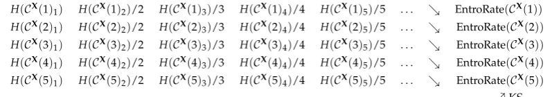 Figure 1. Approximation of KS entropy: the direct way