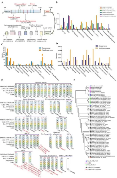 Figure 1. Summary information for 86 non-synonymous sites in ten CDS regions of  SARS-CoV2
