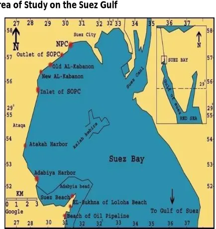 Figure 1: Map of study area, showing sample points along the Suez Gulf, Egypt 