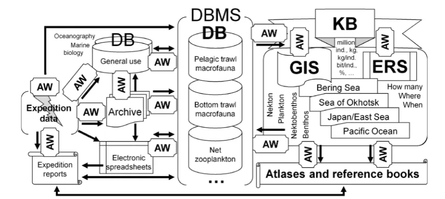 Figure 2. Schematic diagram of the implementation of the concept of information support for bioresource and ecosystem re-search in the north-western Pacific