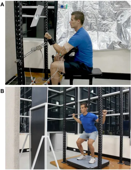 Fig 1. Experimental setup. (A) Single joint experiment. (B) Multi-joint experiment.