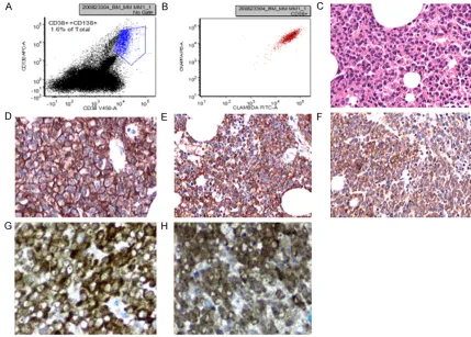 Figure 1. Plasma cell myeloma with dual expression of kappa and lambda light chains (case 1 in Table 1)