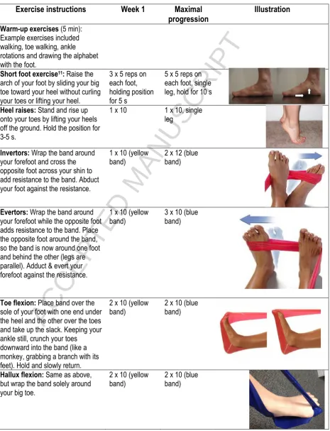 Table 1: The progressive Toe Training exercise program. 